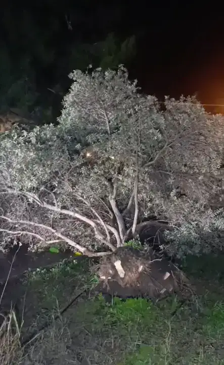 Fırtına ve Hortum Seraları Yıktı, Yollar Göle Döndü 10